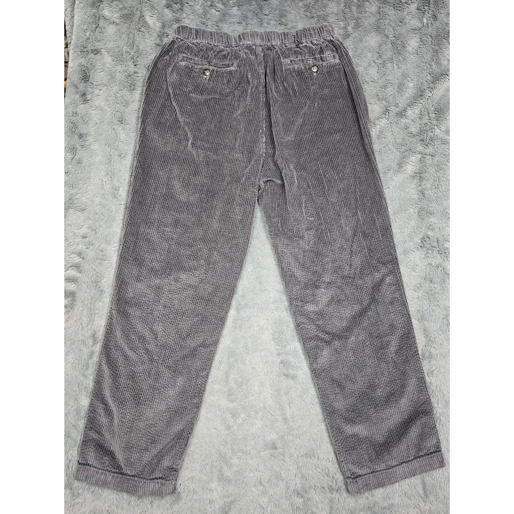 The Territory Ahead Mens Gray Corduroy Drawstring Elastic Waist Pants L/30